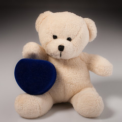 Teddy bear with romantic gift