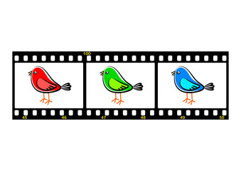 Film strip with bird