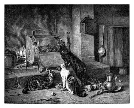 3 Cats near the chemney - a rural scene