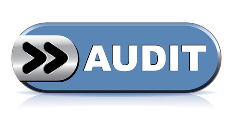 AUDIT ICON