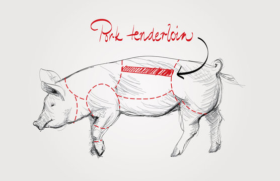Pork tenderloin / Cuts of pig