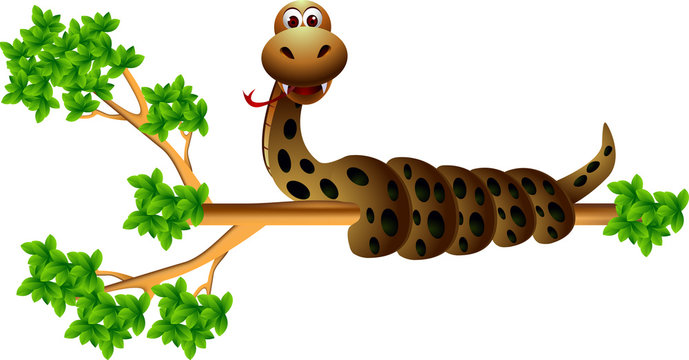 snake on the tree