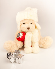 Teddy bear with gifts