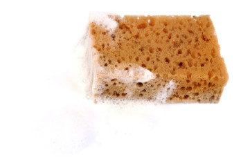 Mousse et éponge