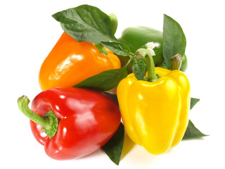 Gemüsepaprika mit Blätter