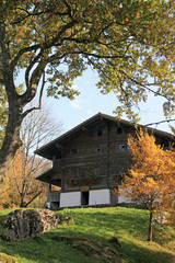 bauernhaus in den schweizer alpen