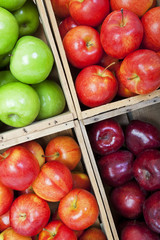 Apple Bins