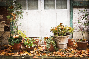 Pots de fleur, terrasse rustique