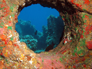 Naklejka na ściany i meble Underwater Porthole z żywymi kolorami