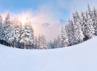 Beautiful winter sunrise in the mountains