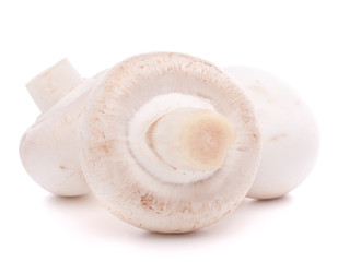 Champignon mushroom