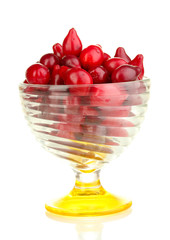 fresh cornel berries in glass bowl isolated on white