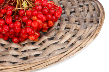 red berries of viburnum on wicker mat close-up