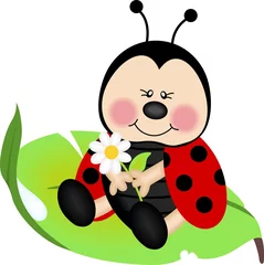 Fotobehang Lieveheersbeestje zittend op een groen blad © soniagoncalves