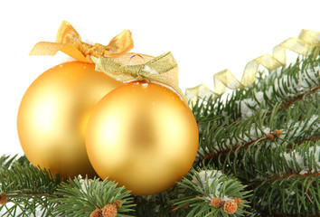 Christmas balls on fir tree with snow, isolated on white