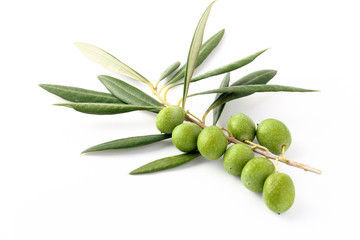 Olive verdi e ramoscelli 2 - Olive green and twigs 2