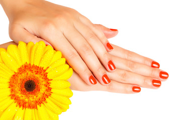 Fototapeta premium manicure on hands