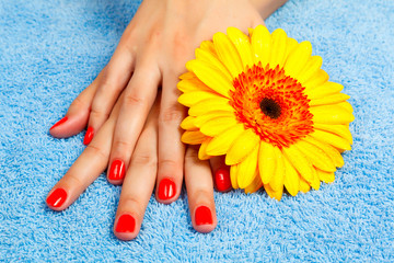 manicure on hands