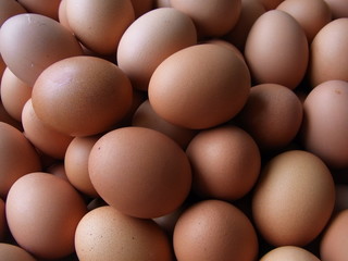 eggs