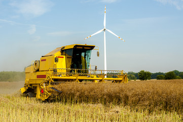 Combine harvester