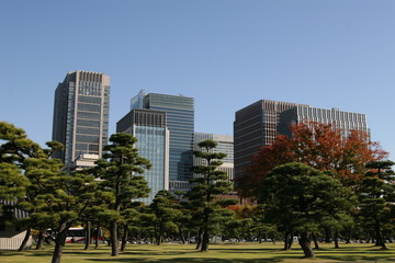 Tokyo modern building