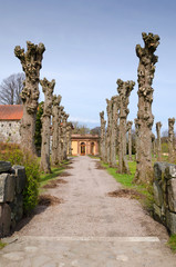 Castle road with tree trunks