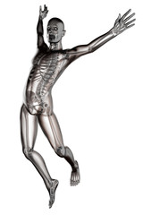 Fototapeta premium jump man radiography