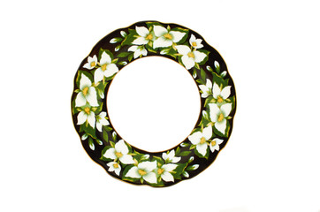Plate