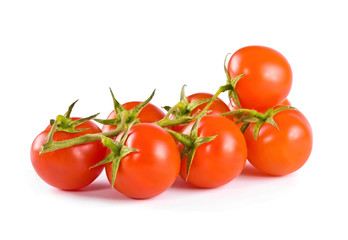 tomatoes on a white background