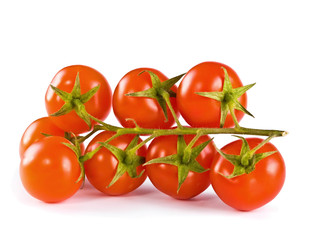 tomatoes on a white background