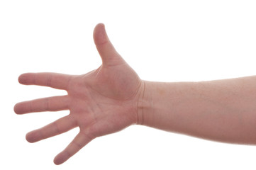 hand on white background