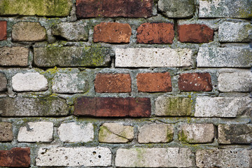 brick wall - background