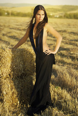 Naklejka na ściany i meble glamorous girl in a black dress lies on the hay
