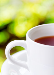 Cup of tea on nature background