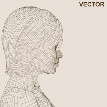 Vector conceptual wireframe human female head isolated