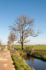 Narrow road in a polder landscape