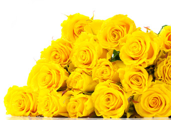 bouquet of yellow roses isolated