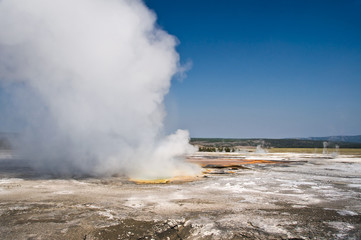 Geyser à Fountain paint pot - Yellowstone park, Wyoming USA