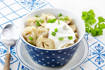 dumplings russian pelmeni