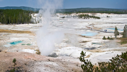 Norris Geyser Basin - Parc de Yellowstone, USA