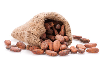 Raw Cocoa bean