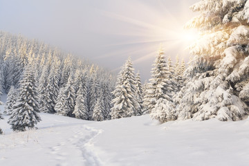 Beautiful winter landscape in the mountains. Sunrise