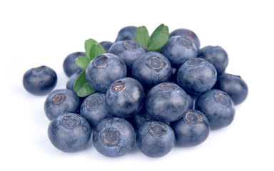 Blueberries on white