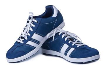 Stylish new shoes on a white background.
