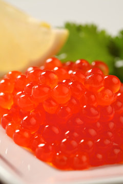 red salmon caviar