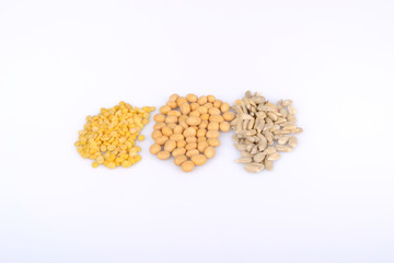 greenbean soybean sunflower seed