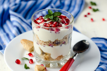 Cottage cheese dessert with biscuits and grenades