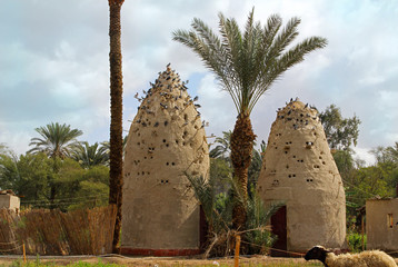 Pigeon house
