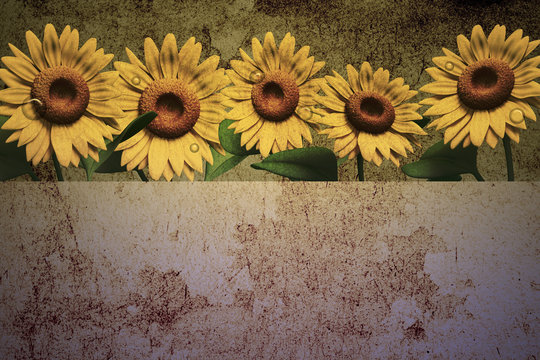 3D Sunflower on texture color background.