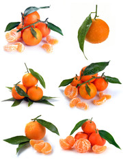 clementines with segments